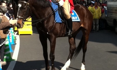 吉祥寺駅前に馬が・・・