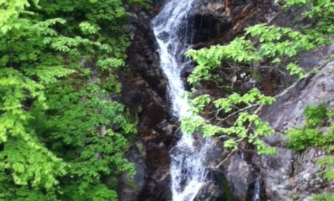 都民の森、手軽に森林浴できるし、子どもたちも適度な運動になるので、おすすめ。