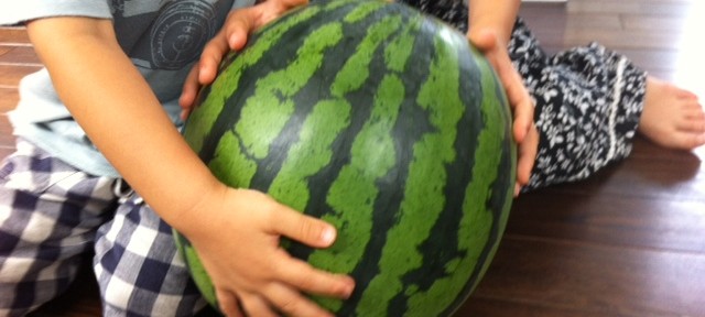 おじいちゃんからもらった西瓜、もう半分食べちゃいました。