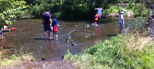 落合川で水遊び、地元の人しかいないので、穴場でおすすめ。