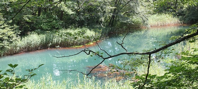 五色沼、高1のときに行ったことをすっかり忘れてました。中は意外に涼しかったです。