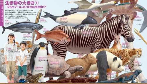 くらべる図鑑、自分自身がちょっと欲しくなっちゃいました。