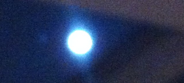 ブルームーンの日に、お墓を月に作ろうと改めて思った。ロケットが欲しいのでお金持ちの人、寄付をお願いします。