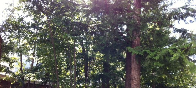 武蔵野市が主催している変なイベントに参加したら、こんな所に導かれた。ここはどーこだ？