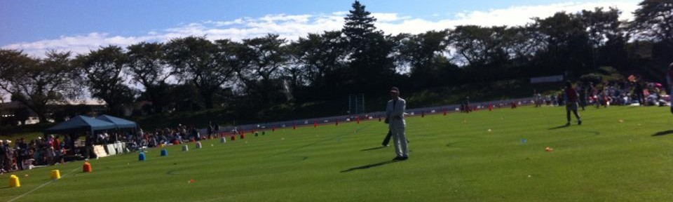 運動会の翌日はぐったり。何もしていないのに、歳のせいですかね。