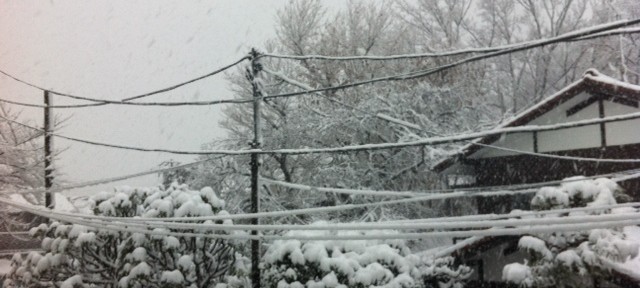 雪のため、軟禁中なう。また、飲んだくれか？