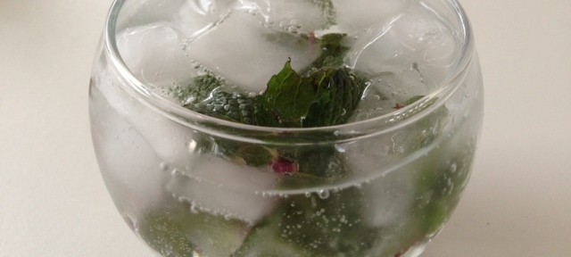 暑いので、玄関の前のプランターでひっそりと育ったミントでモヒート。かなりワイルドな感じ。