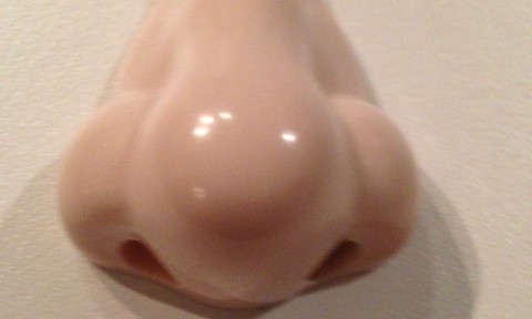 これな～んだ。鼻だと思った人は不正解です。実は単なる鼻ではなくて・・・