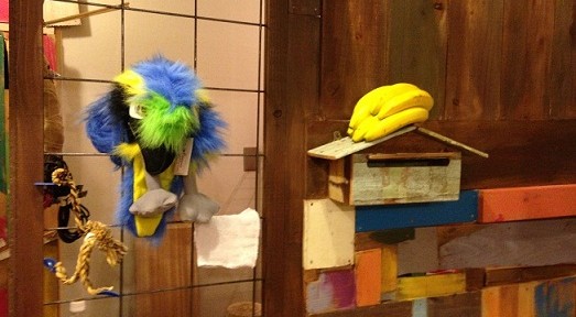 吉祥寺にjentecoが上陸。モダンアジアンな色使いが好きな方は行ってみてください。