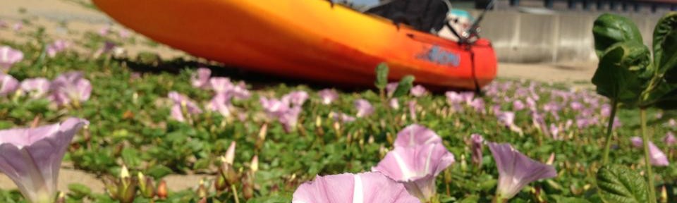 次回のプレゼンに使おうかと思ういい写真なので、自分のブログに保存しておきます。