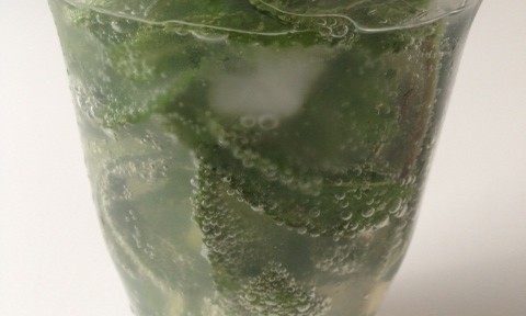 今シーズン初のモヒート。ぐでんぐでんの1丁目にいます。