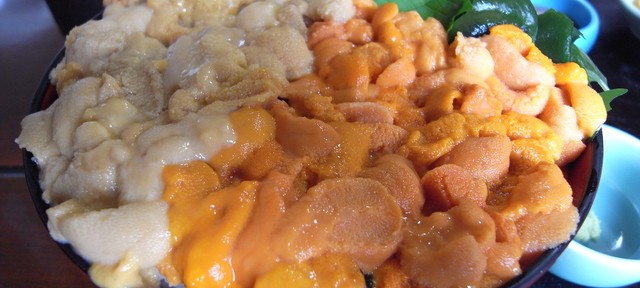 ああ、このウニ丼、食べたい。このためだけに北海道に行ってもいい感じ。