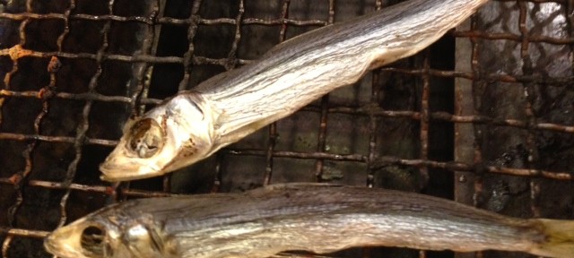 気になっていた磯丸水産に行ってみました。ちょっぴり、ほろ苦いデビュー戦となりました。