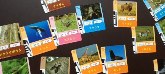 ベネッセの教材に大喜びの長男。動物、鳥、虫の鳴き声が聞けるので、盛り上がっています。