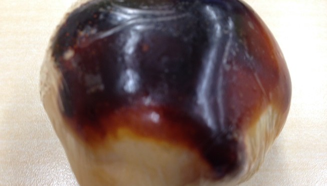 ホテイ堂の因幡国くりまんじゅう、オンラインショップだと575円が元町ユニオンで買うと700円に。