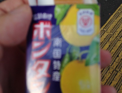 昼食がボンタンアメ。八幡山の駅を降りて、これを食べながら歩くオヤジの悲哀を自ら感じました。