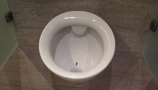 ヨーロッパに行って寂しかったこと。それは、自分の足の短さを痛感させられたこと。やい、小便器、高すぎだろっ！