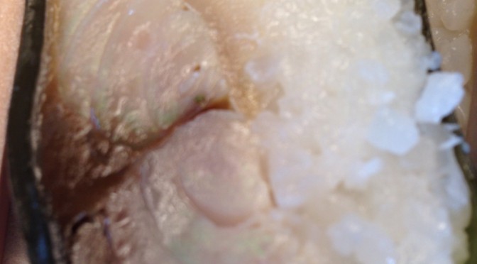 大阪出張で、何を食べようかとワクワクしていたのに、時間がなくて新幹線で駅弁。がくっ。