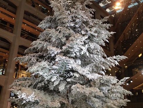 KITTEのクリスマスツリーは白かったですね。でも、入っているテナントとか、動線とかはいまいちでした。