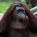 いろいろトラブルがあるにもかかわらず、韓国に対して特別な感情はないけど、この判決はさすがにひどいと思います。