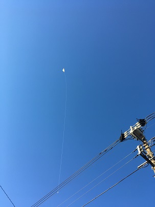 吉祥寺の大正通りの電線に凧が。こんな場所で凧あげしていたのでしょうか。不思議でなりません。