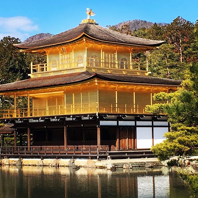 金閣寺は普通の構図。やっぱり、こっちの方がいいですね。でも、趣のあるのは、絶対に銀閣です。  – Instagramより