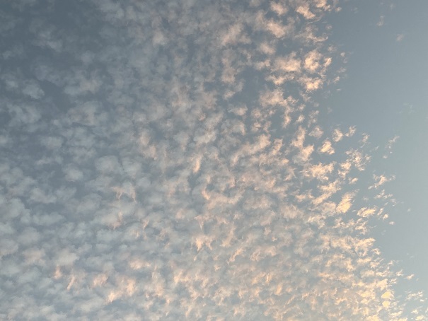 親子連れが、雲の写真を撮っていたので、別に興味もなかったけど、撮ってみました。流されやすい性格ですね。
