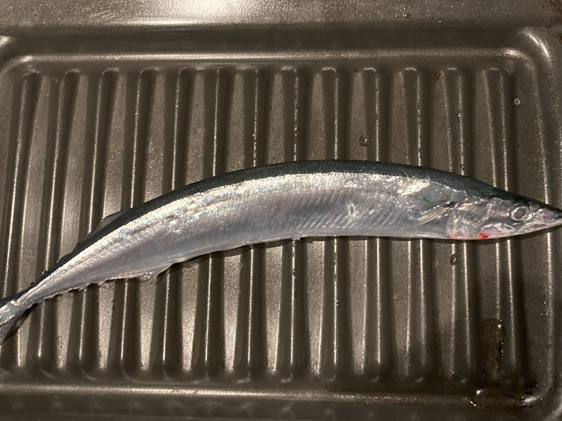秋刀魚をいただいたので、早速、塩焼きにして食べました。もはや、高級魚ですから、ありがたいです。