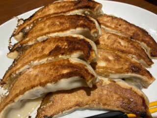 天龍、ボリューム満点のコース料理に食べきるのが大変でした。餃子が名物なだけあって、最高でした。