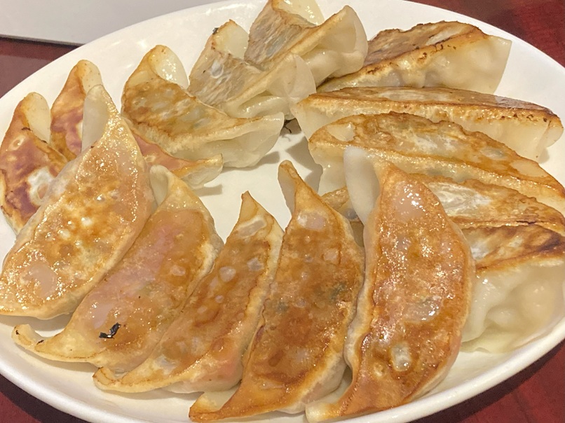 うしとらSTAND、飲み放題だからって、死ぬほど飲みすぎて記憶がないという惨劇。餃子が美味しかったことしか覚えていないです。