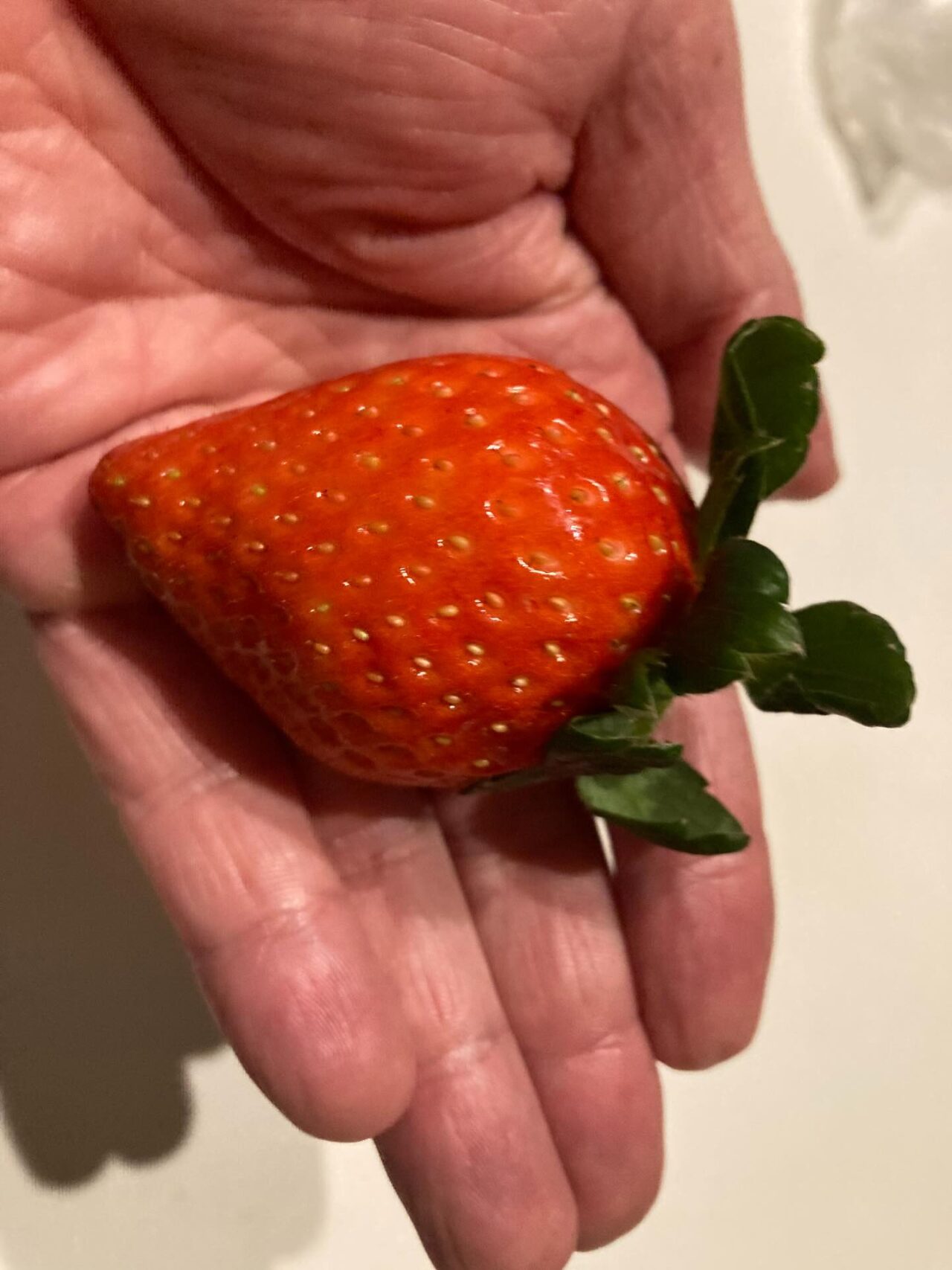 ももいちご、でかいし甘くて美味しい。それにしても、自分の手がおじいちゃんなのが気になる。